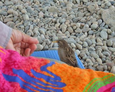 Прикрепленное изображение: CDD28.jpg